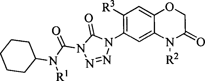 Weeding activity of 2-benzoxazinone-5-cyclohexylaminocarbonyltetrazolylone