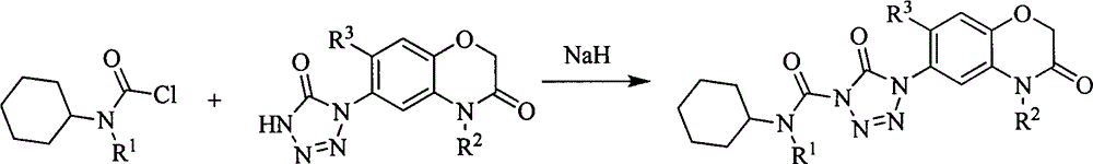 Weeding activity of 2-benzoxazinone-5-cyclohexylaminocarbonyltetrazolylone