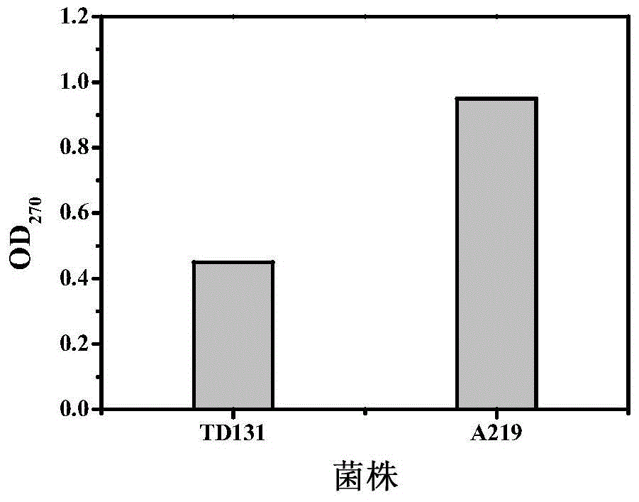 Pyrimidine nucleoside high-yielding strain and carbamyl phosphate synthetase adjusting site thereof