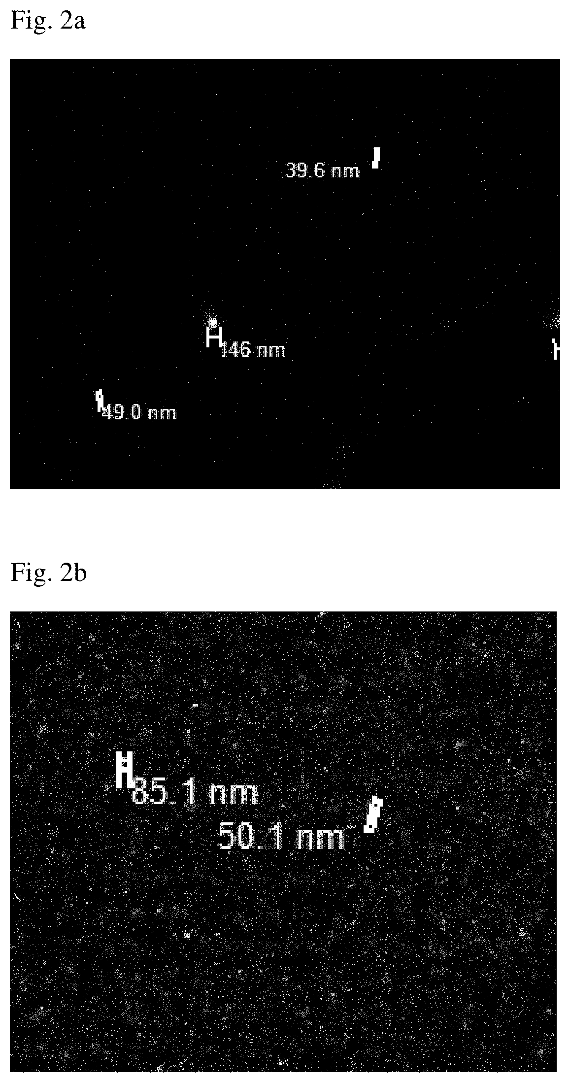 Luterial and method for isolating and culturing the same