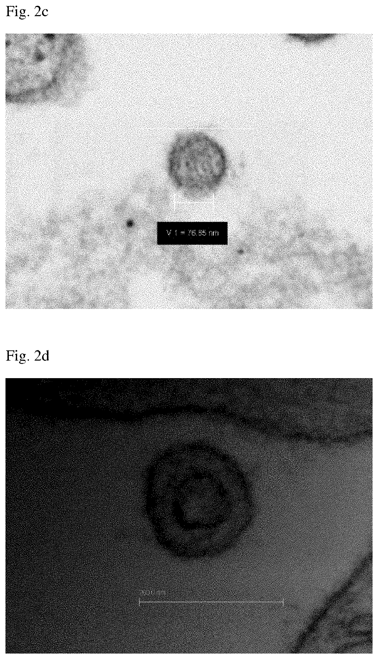 Luterial and method for isolating and culturing the same