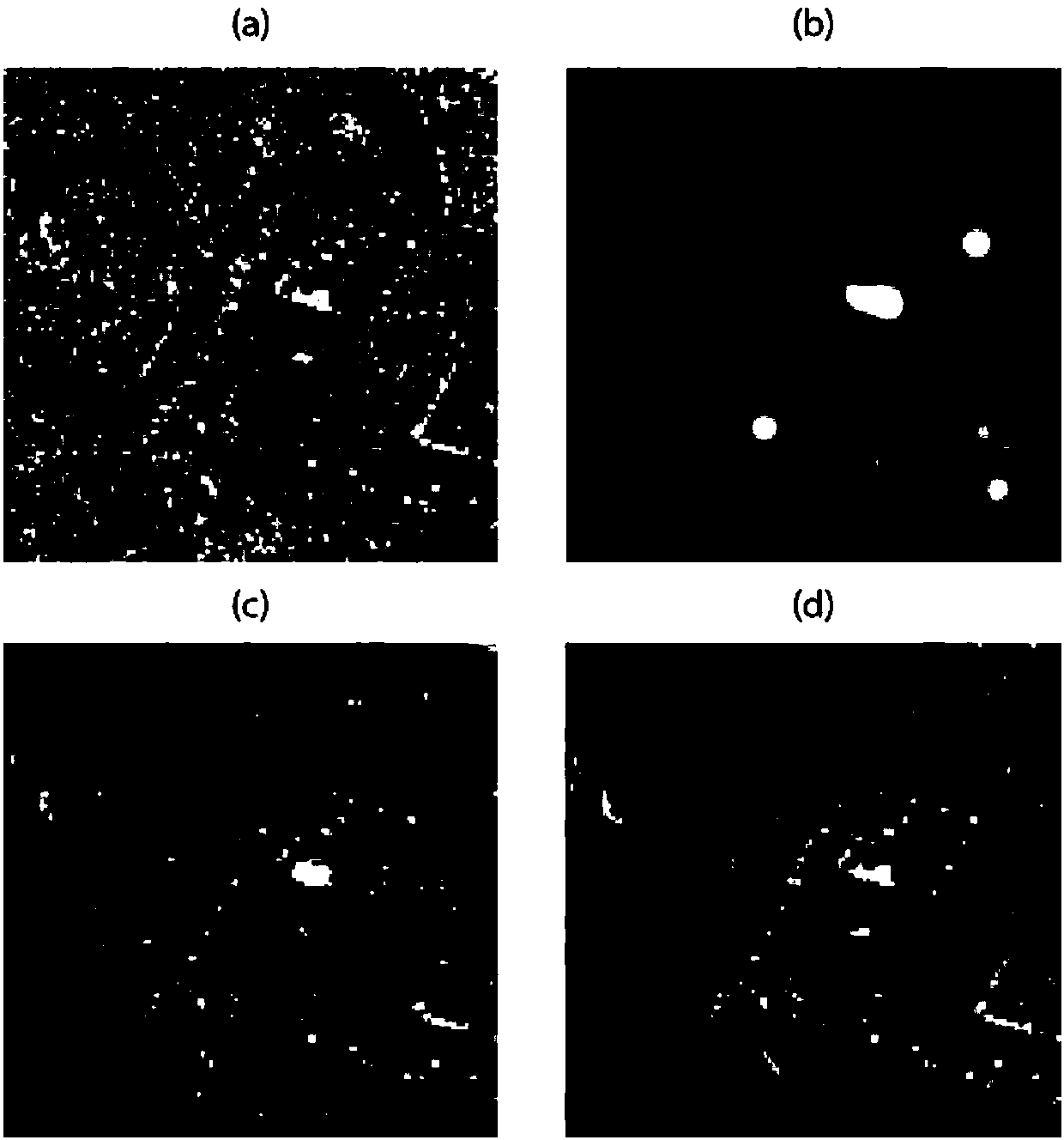 Selection method for counting identical distribution space pixel based on time sequence SAR (Synthetic Aperture Radar) image