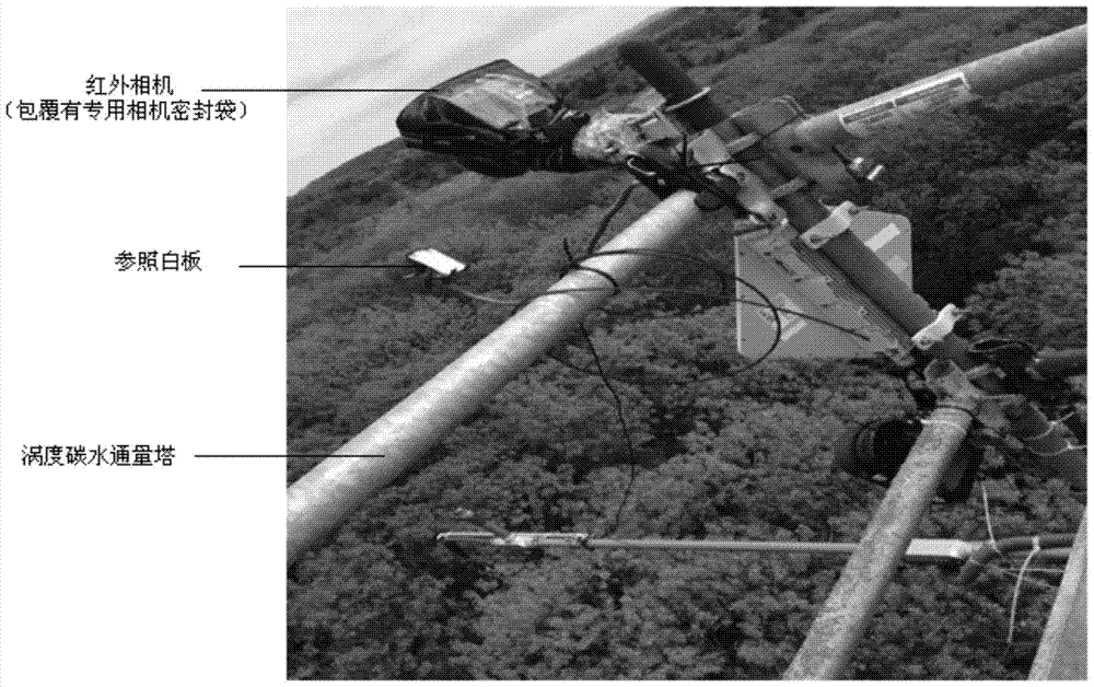 A rapid method for retrieving the primary productivity of wetland vegetation