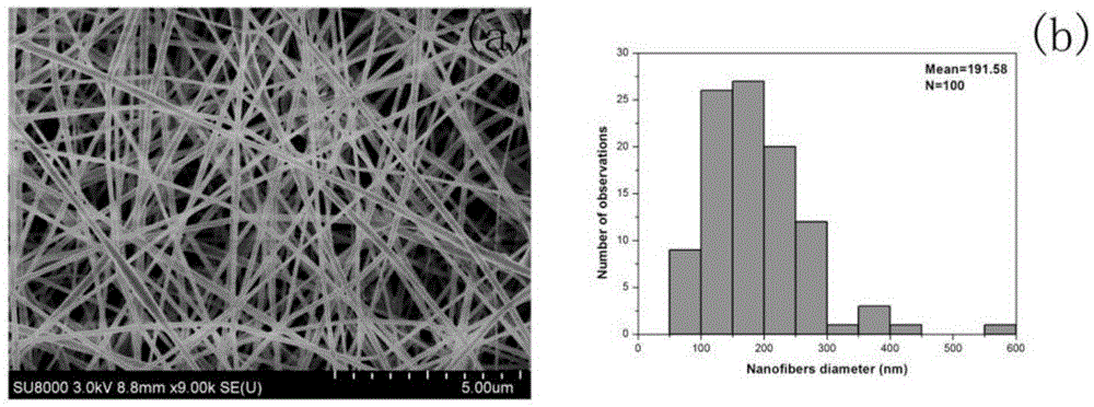 Amidoximated polyacrylonitrile spinning solution and nanoscale ion exchange fiber prepared from solution
