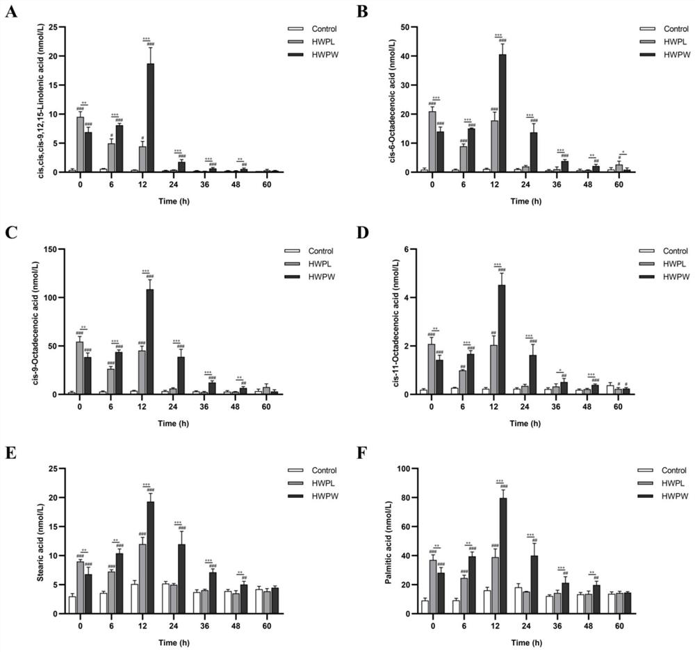 Steamed solomonseal rhizome polysaccharide and application thereof in regulating intestinal microorganisms