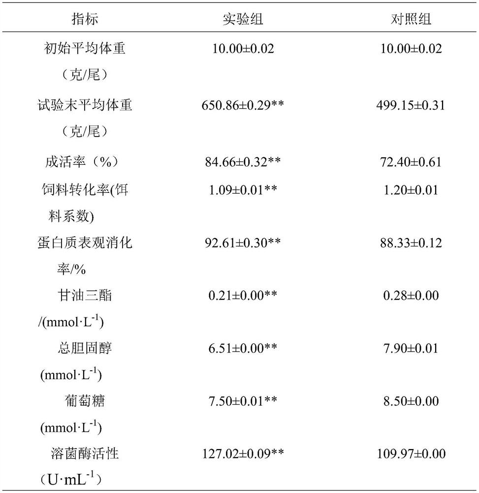 Starch-free feed for groupers and preparation method of starch-free feed