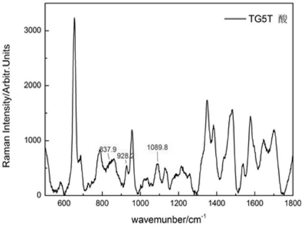 A method for detection of nucleic acid structure based on surface-enhanced Raman spectroscopy