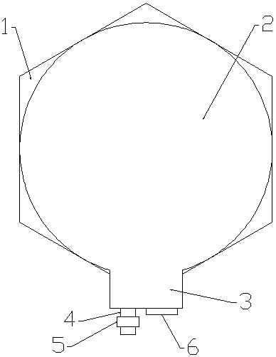 Capsule blood collection device for detecting genetic metabolic disease