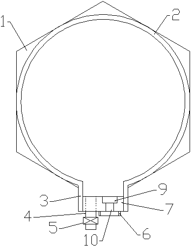 Capsule blood collection device for detecting genetic metabolic disease