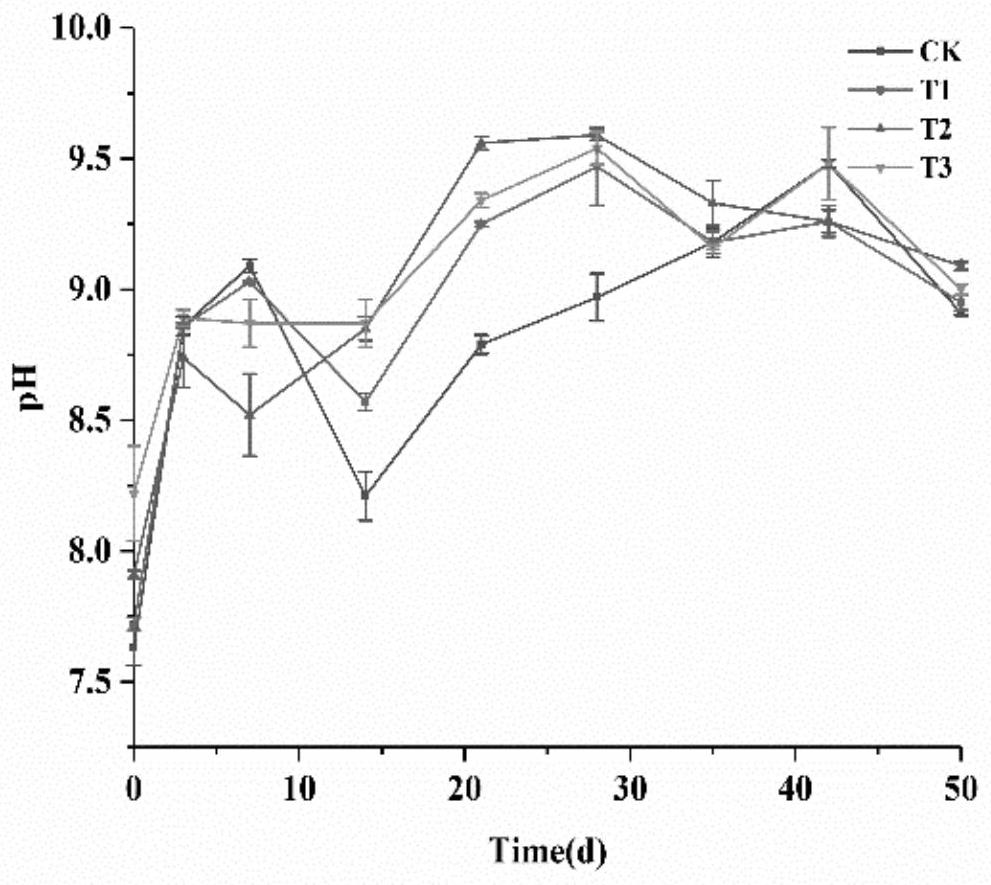 Method for strengthening carbon-nitrogen conversion in composting process based on magnet particles