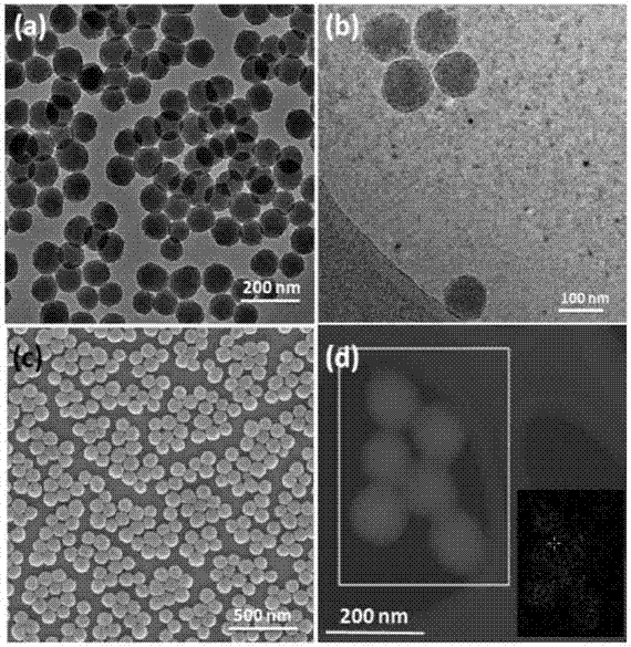Method for preparing high iron-loading amount polydopamine nanoparticles