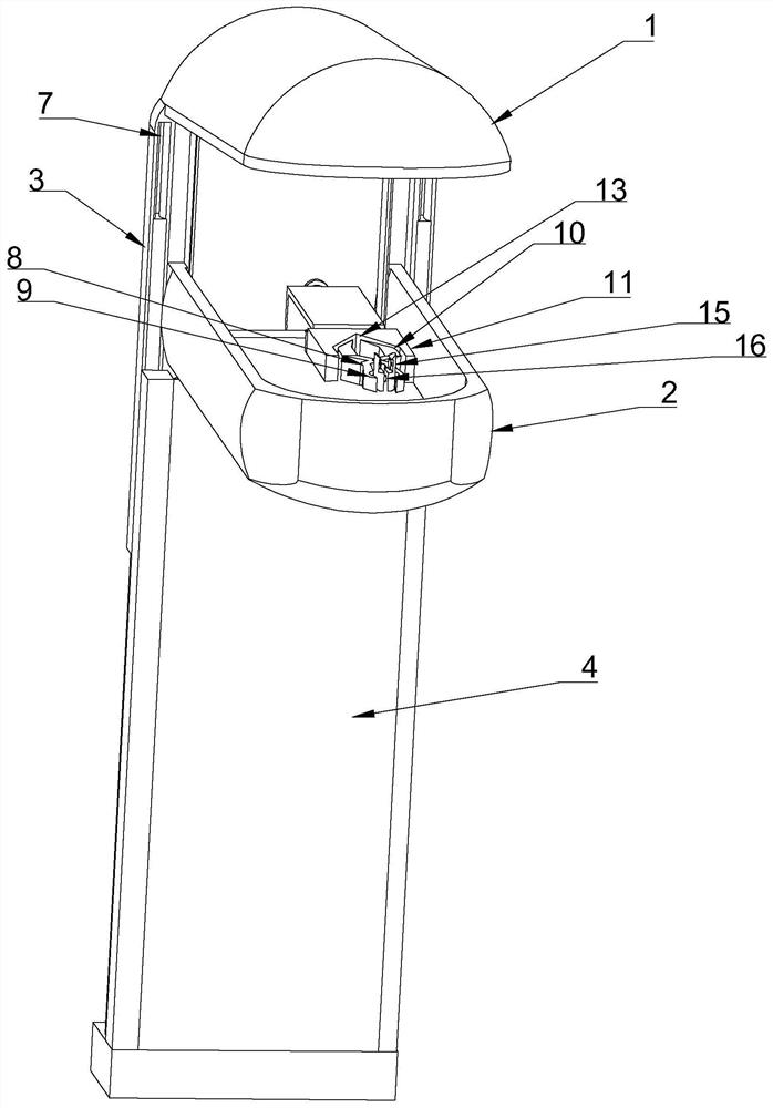 a speculum