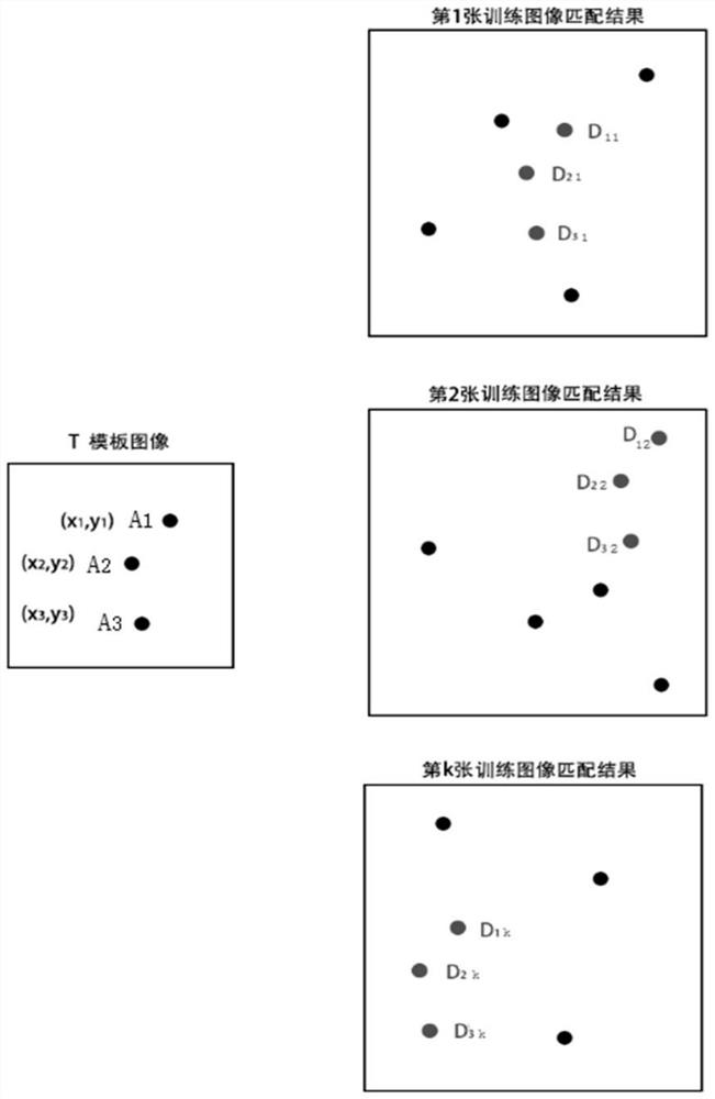 Template image edge point optimization method