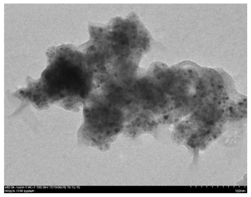 Application of Magnetic Caramelized Carbon Nanomaterials in the Removal of Heavy Metals in Water