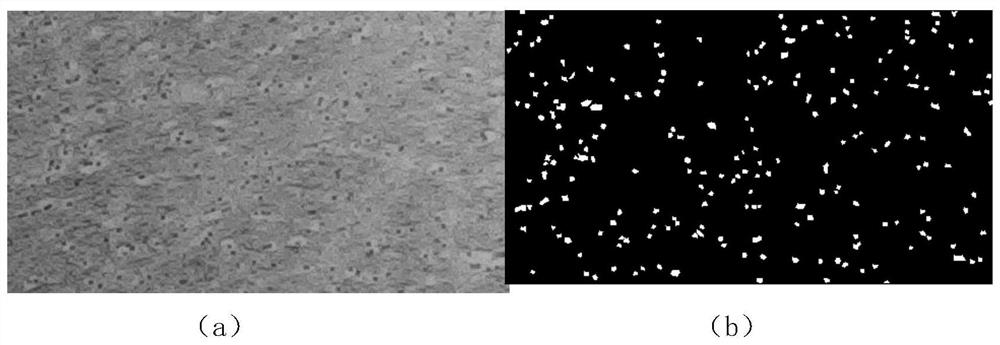 High-resolution microscopic endoscope image cell nucleus segmentation method based on deep learning