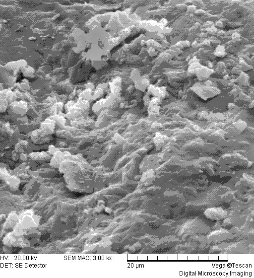 Method for directly utilizing liquid-state blast furnace slag to manufacture glass ceramics