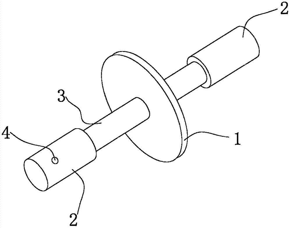 Sterilization pin