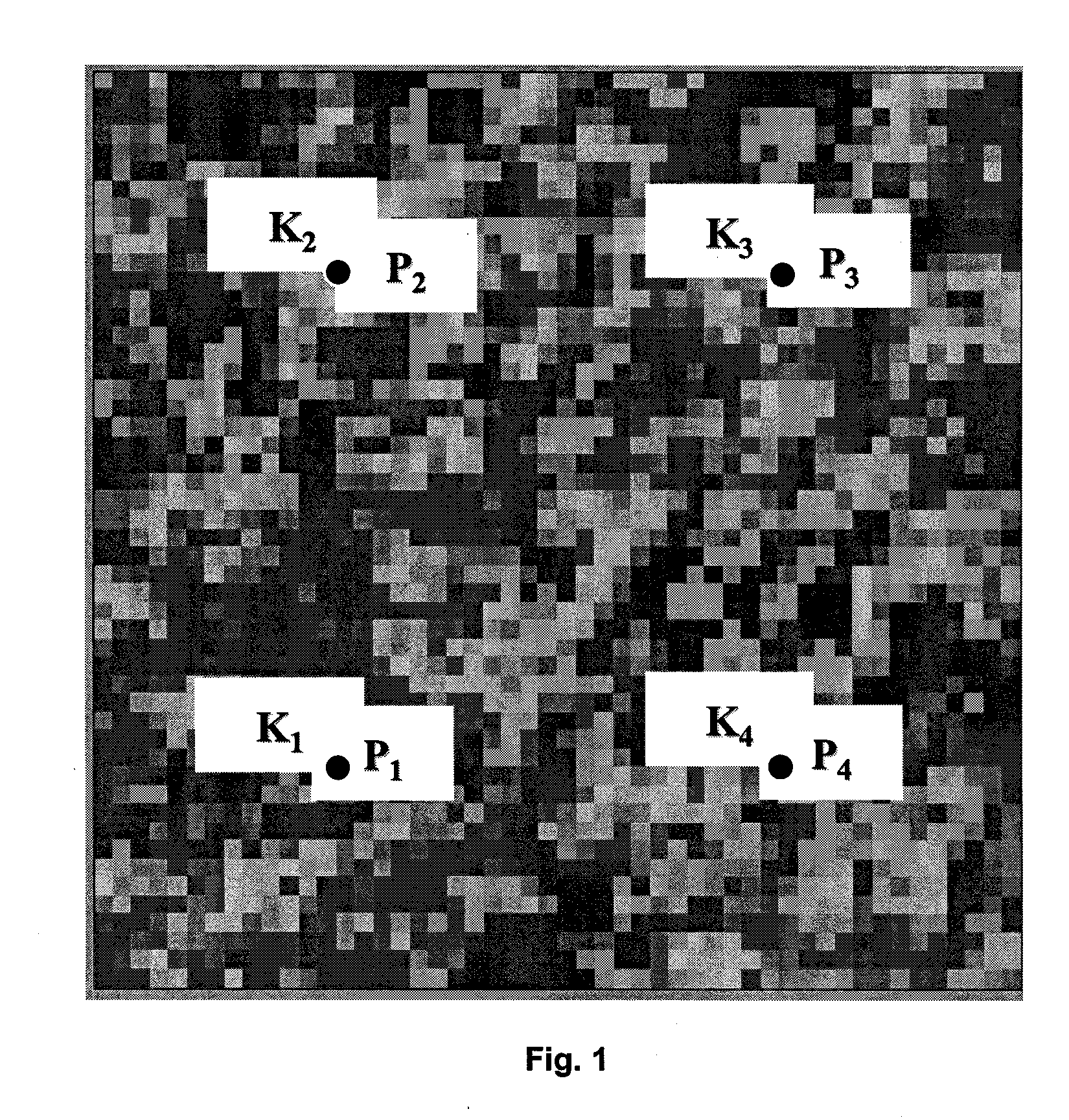 Method of developing a petroleum reservoir from optimized history matching