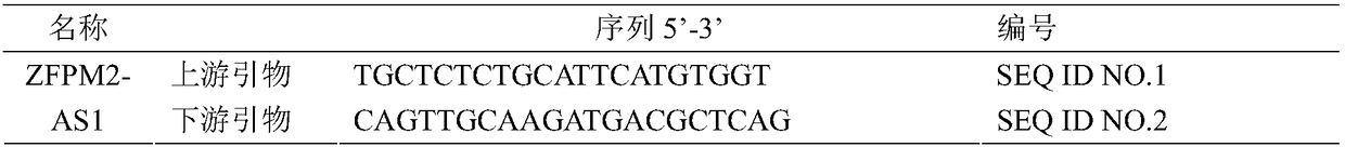 Application of ZFPM2-AS1 to preparation of pancreas-related disease diagnostic kit