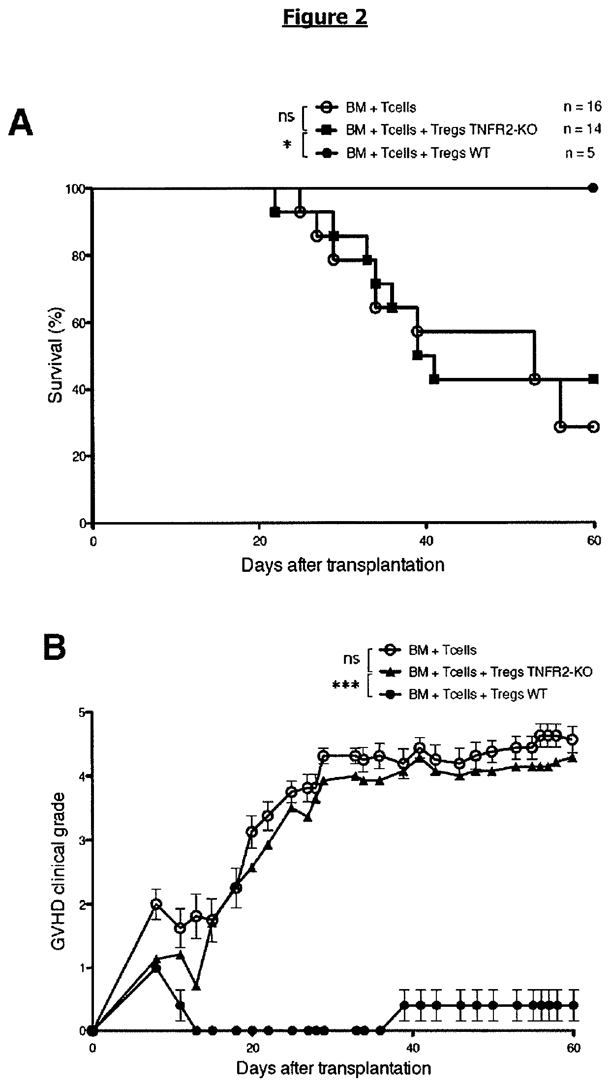 Prevention or treatment of hematologic malignancy relapse using a TNFR2 antagonist