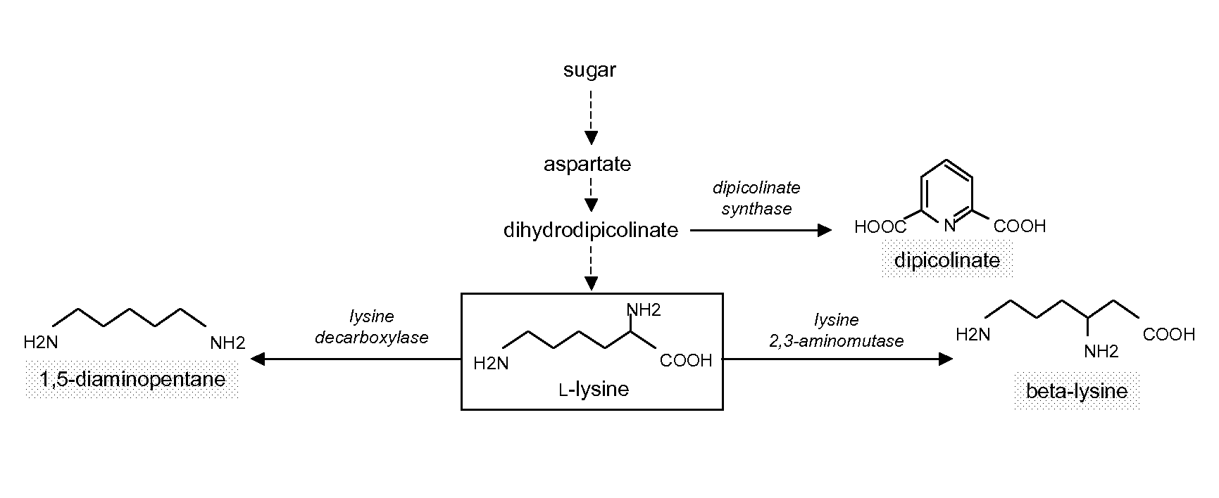 Production Process for Fine Chemicals Using Microorganisms with Reduced Isocitrate Dehydrogenase Activity