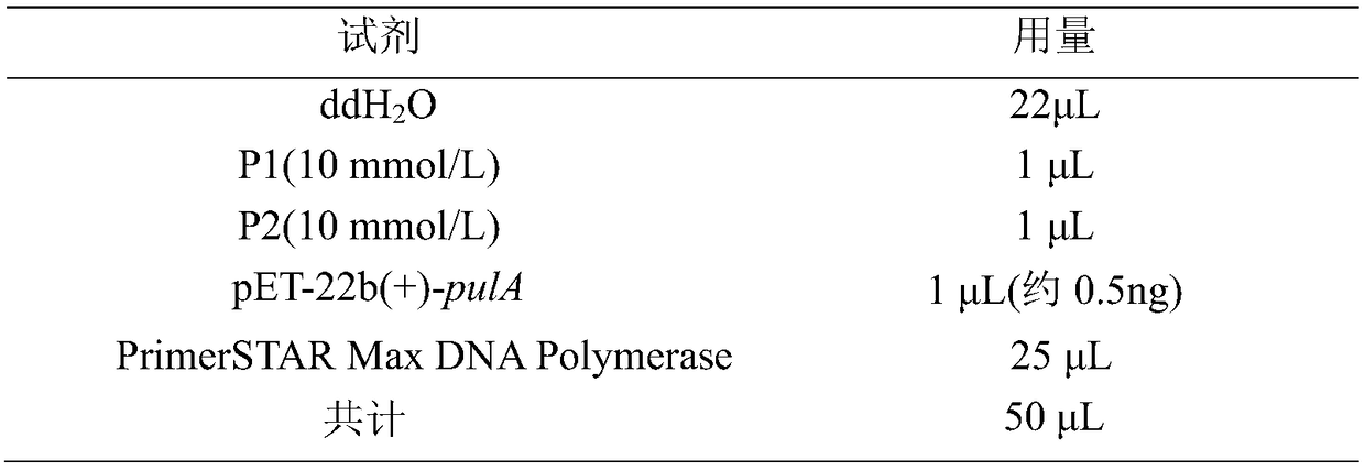 Pullulanase mutant and application thereof