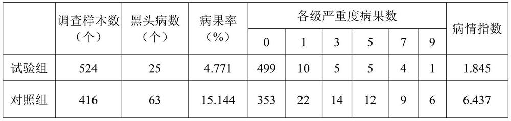 Method for preventing and treating blackhead disease of kiwi fruit by adopting traditional Chinese medicine agricultural production mode and application