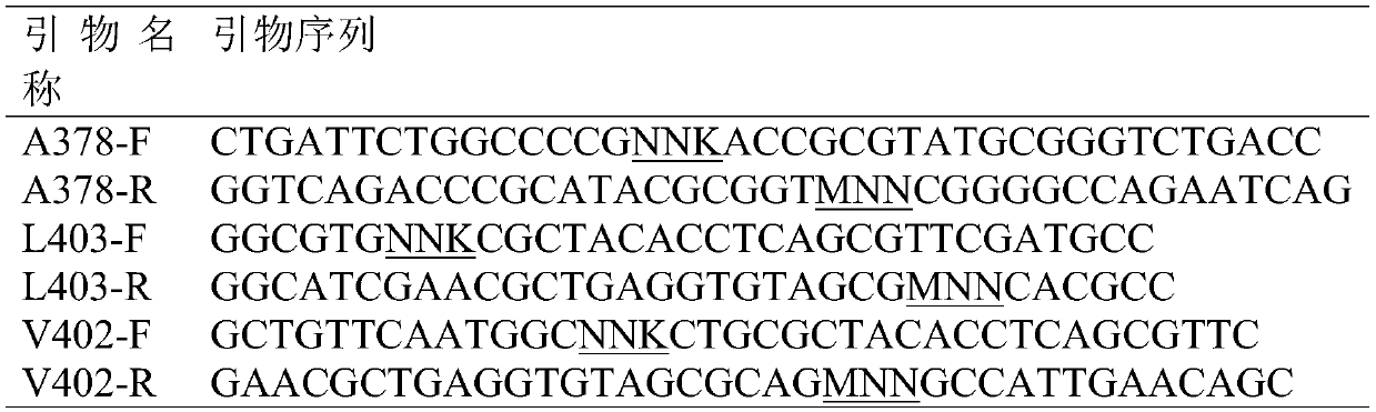 Amidase mutant and application thereof in catalytic synthesis of 2-chloronicotinic acid