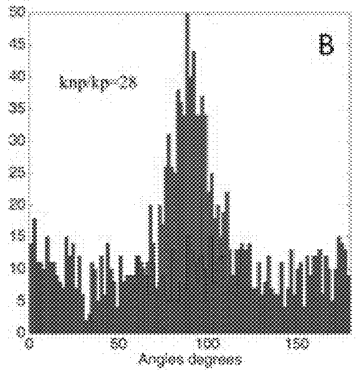 Optical imaging for preterm birth assessment