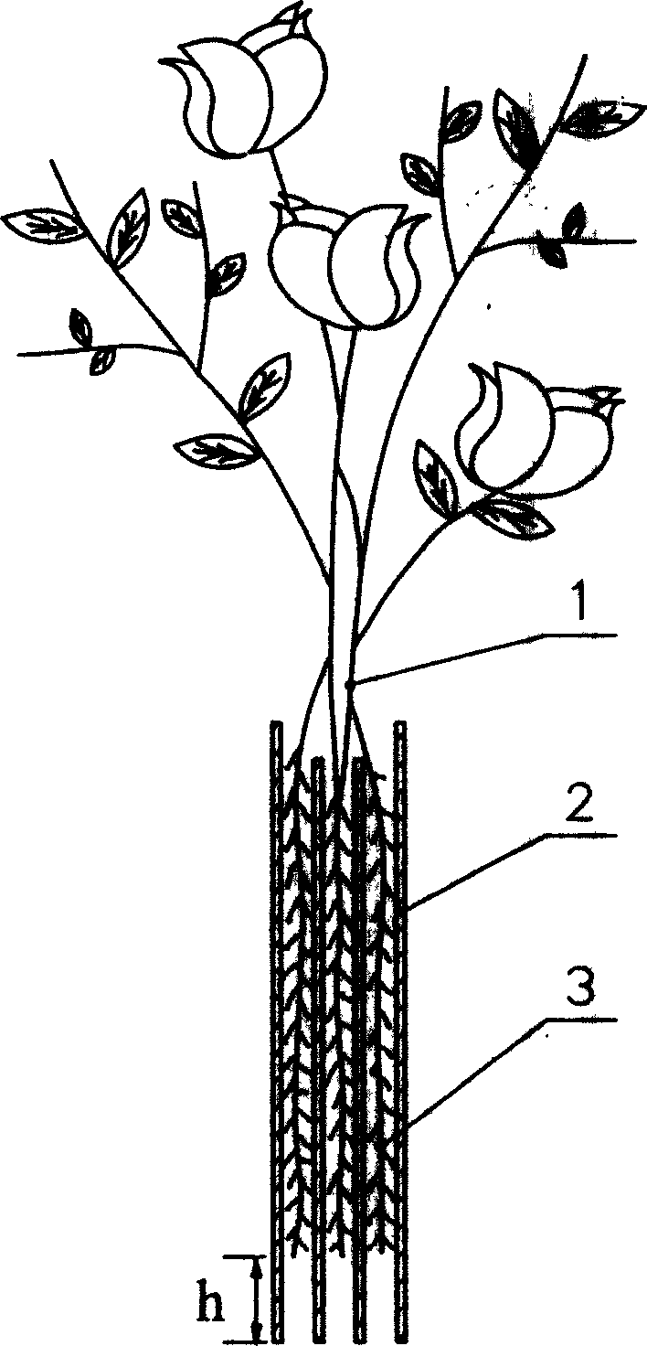 Method for culturing ornamental plant by utilizing water-absorbing cloth