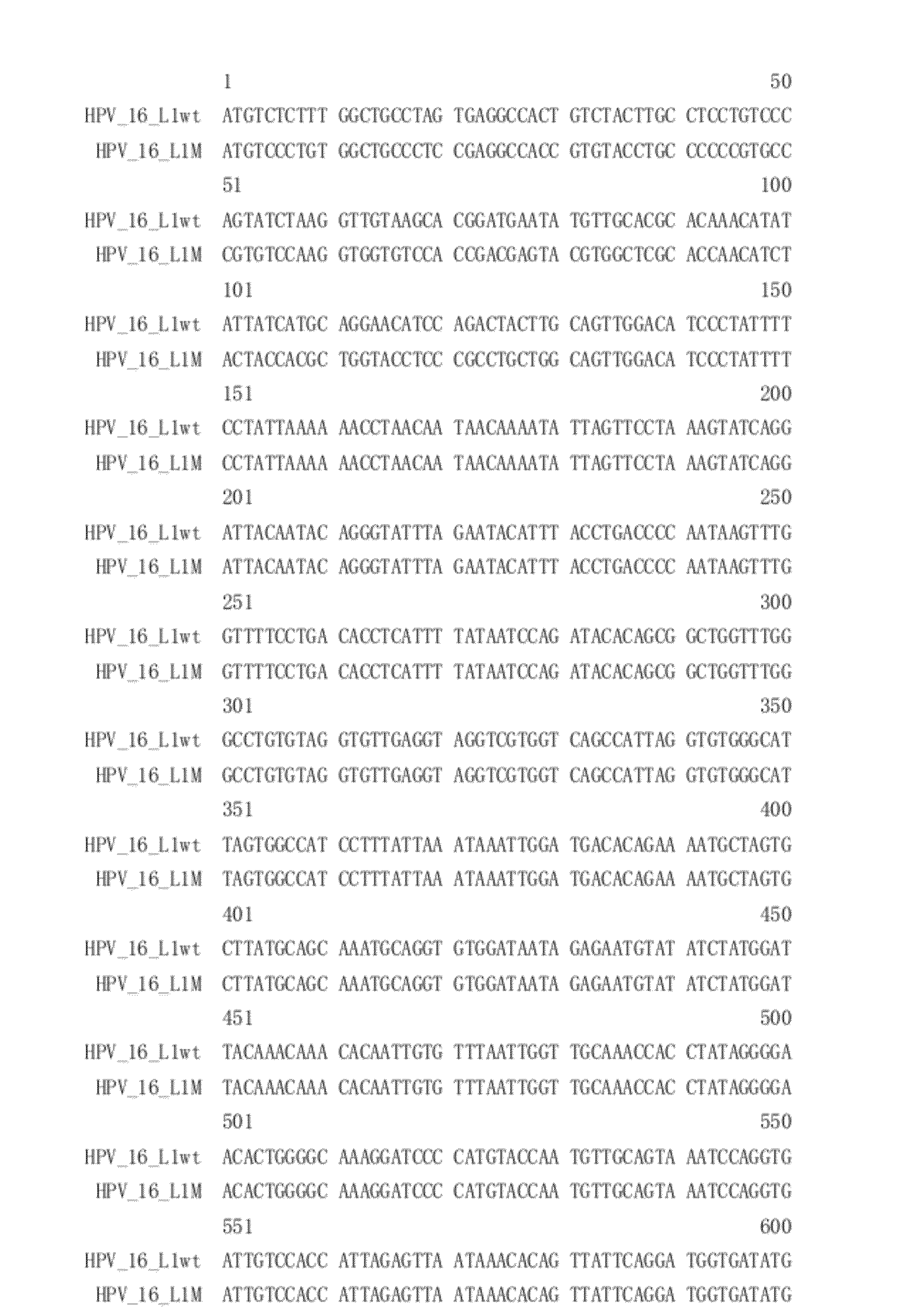 Virus-like particles of capsid proteins from human papillomavirus type 16/58/18/6/11 and the method for preparation and the uses thereof