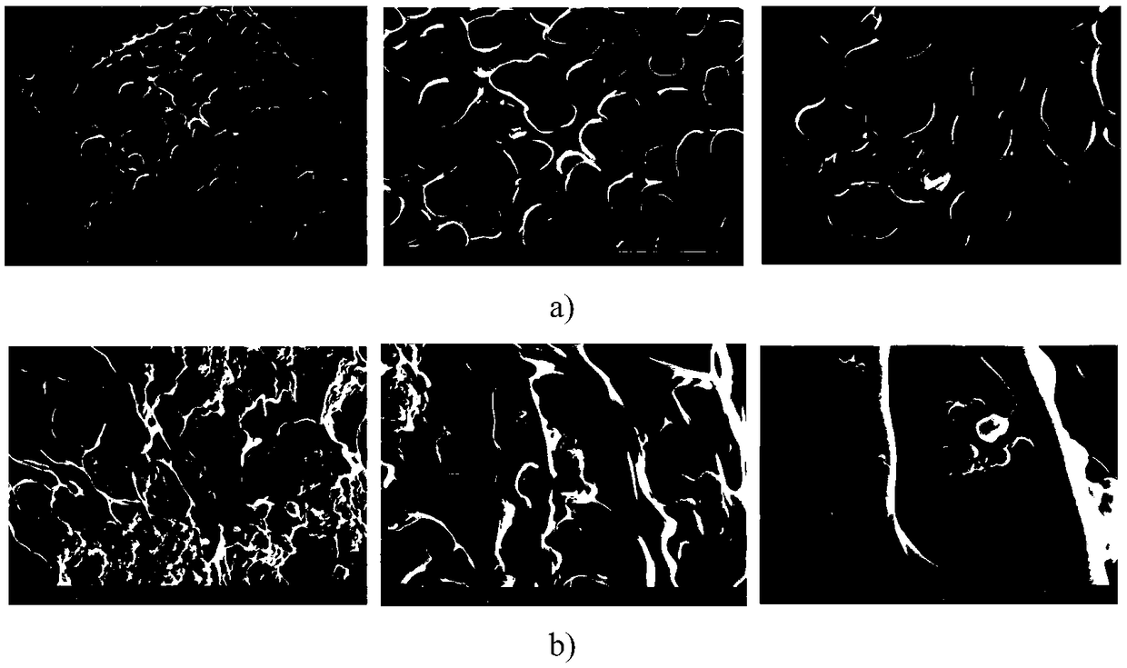Polydopamine particles-doped star-shaped polymer of multi-responsive self-healing hydrogel, and self-healing hydrogel and preparation method thereof