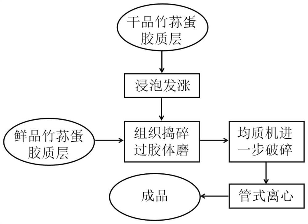 Bamboo fungus gel as well as preparation method and application thereof