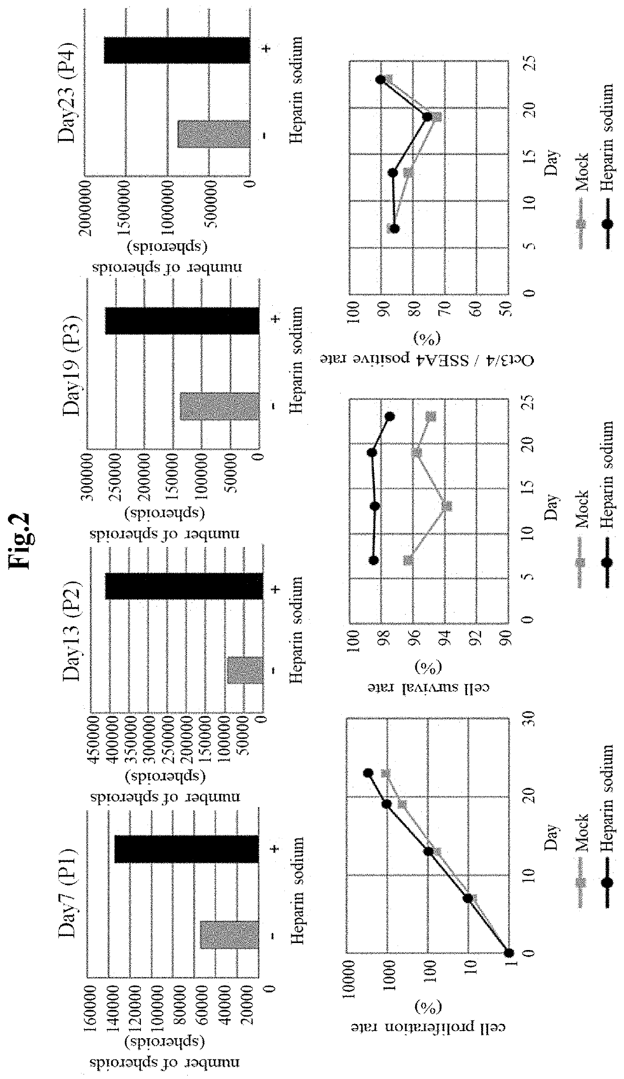 Additive for culturing stem cells, culturing medium, and culturing method