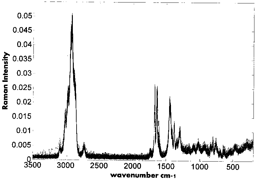 Rapid detection method of lavender essential oil varieties based on Fourier Raman spectroscopy