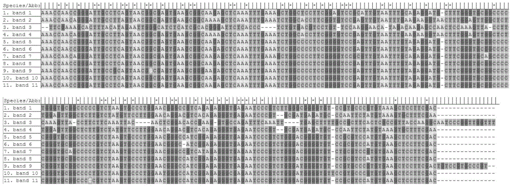 Detection method of fungal flora during Liubao tea processing