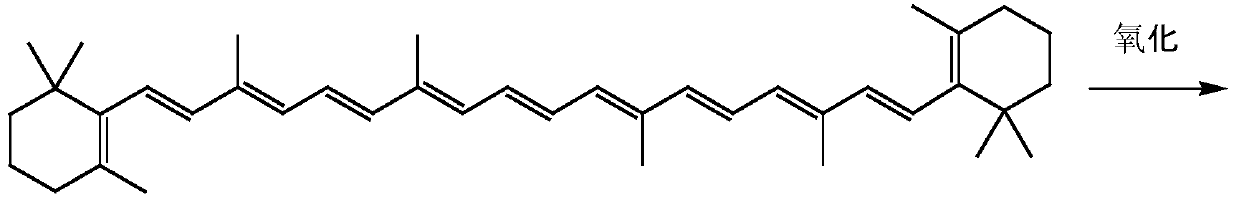 Process method for synthesizing canthaxanthin