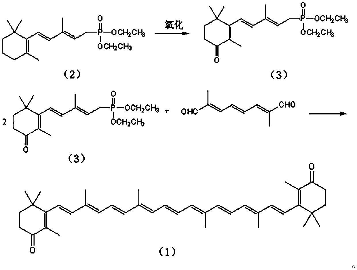 Process method for synthesizing canthaxanthin