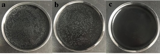 A kind of nano-silver and gelatin modified antibacterial ink and preparation method thereof