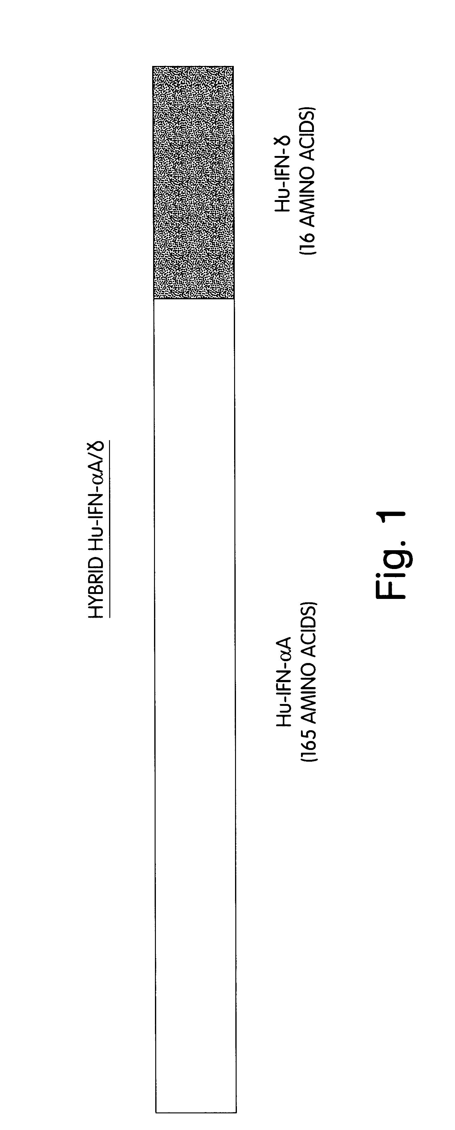 Constructs for producing phosphorylated fusion proteins