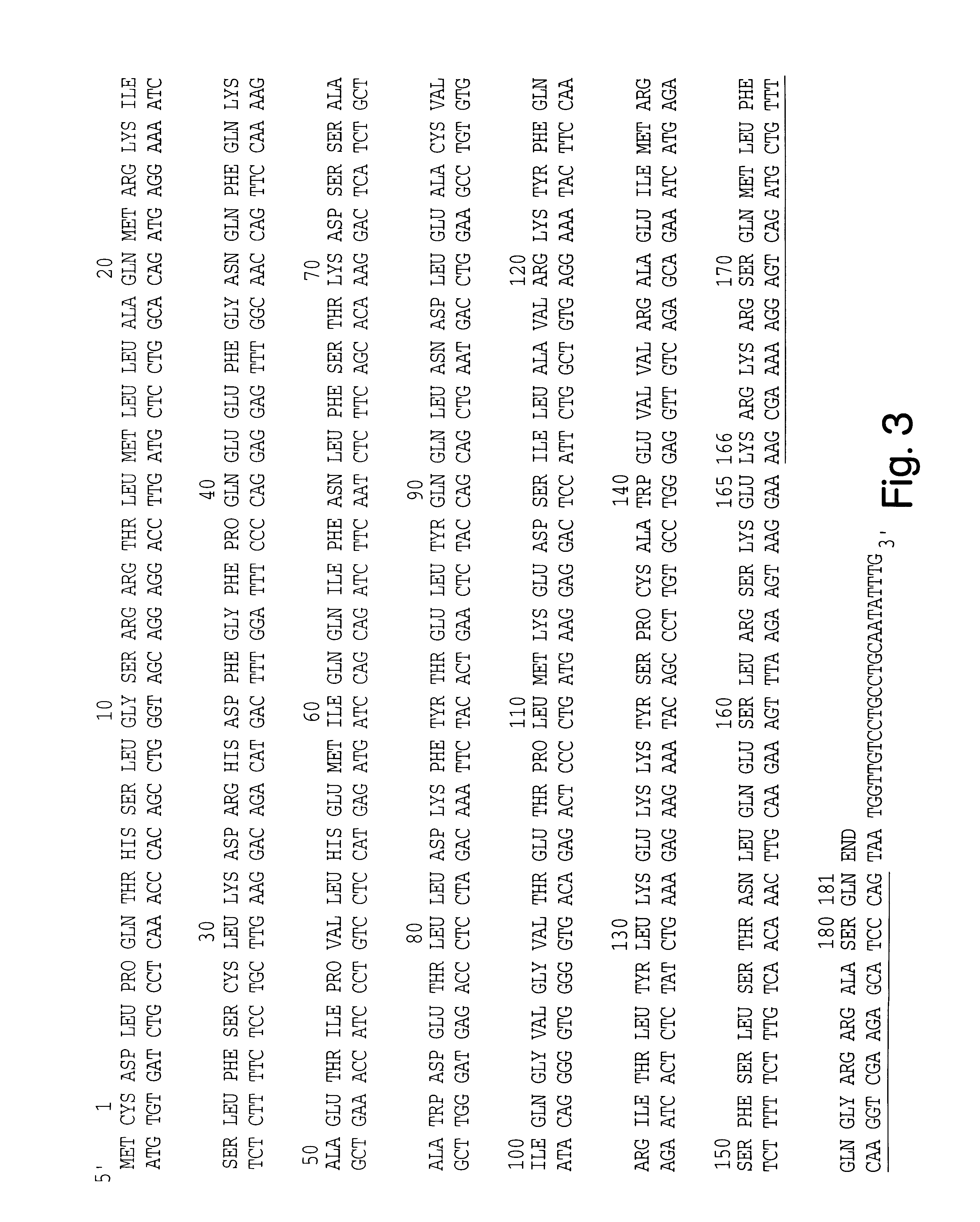 Constructs for producing phosphorylated fusion proteins