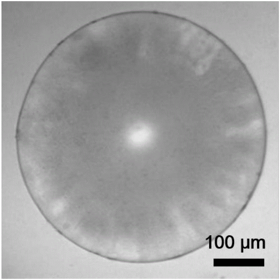 Hydrogel photonic crystal microspheres, and preparation method and application thereof