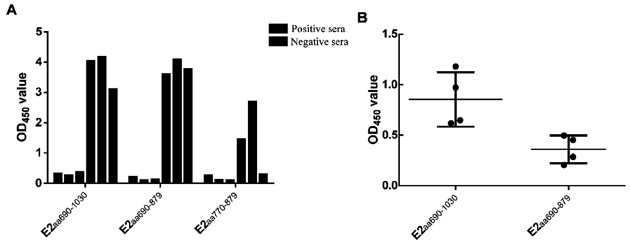 Truncated e2 protein of swine fever virus and its application