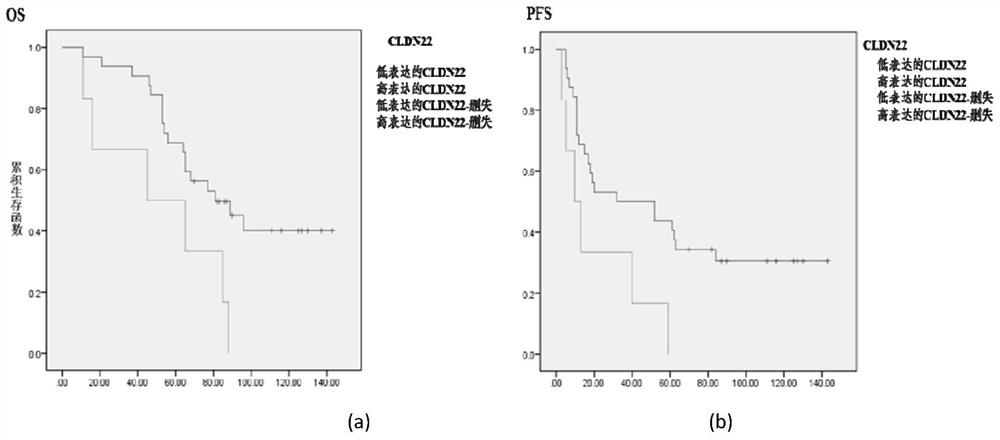 A prognostic diagnostic marker claudin22 for ovarian cancer and its application