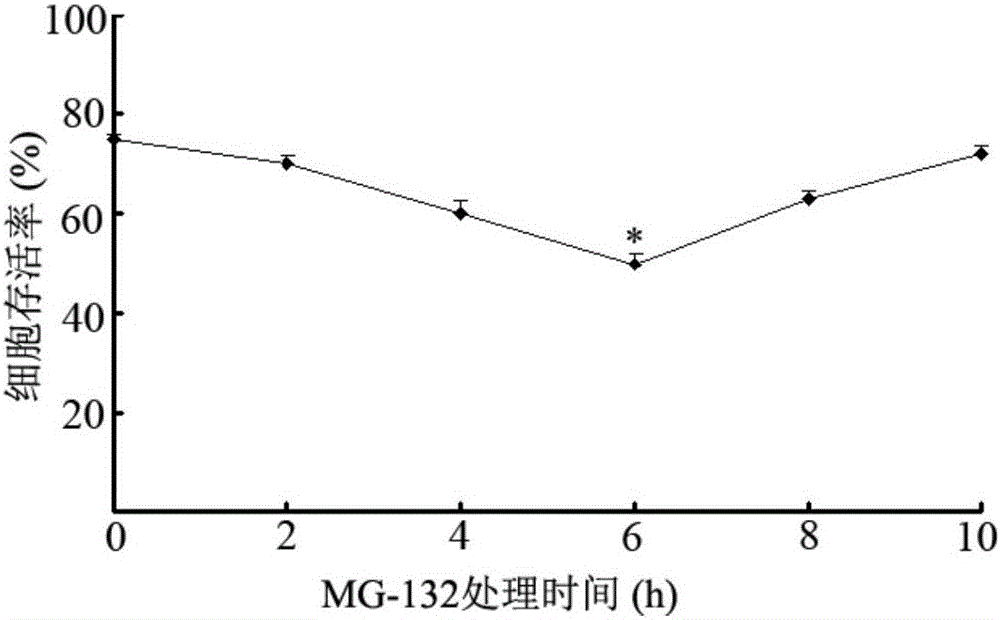 Application of proteasome inhibitor MG-132 to synergist of pyrethroid insecticides