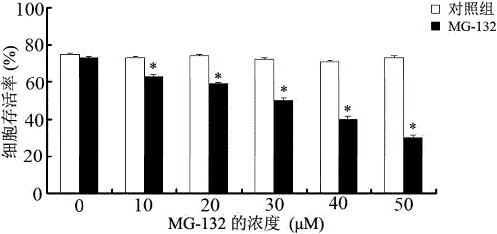 Application of proteasome inhibitor MG-132 to synergist of pyrethroid insecticides