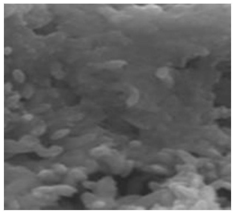 Porous polypyrrole nano-film loaded with nano zero-valent iron as well as preparation method and application of porous polypyrrole nano-film