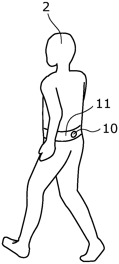 Walking motion display system and program