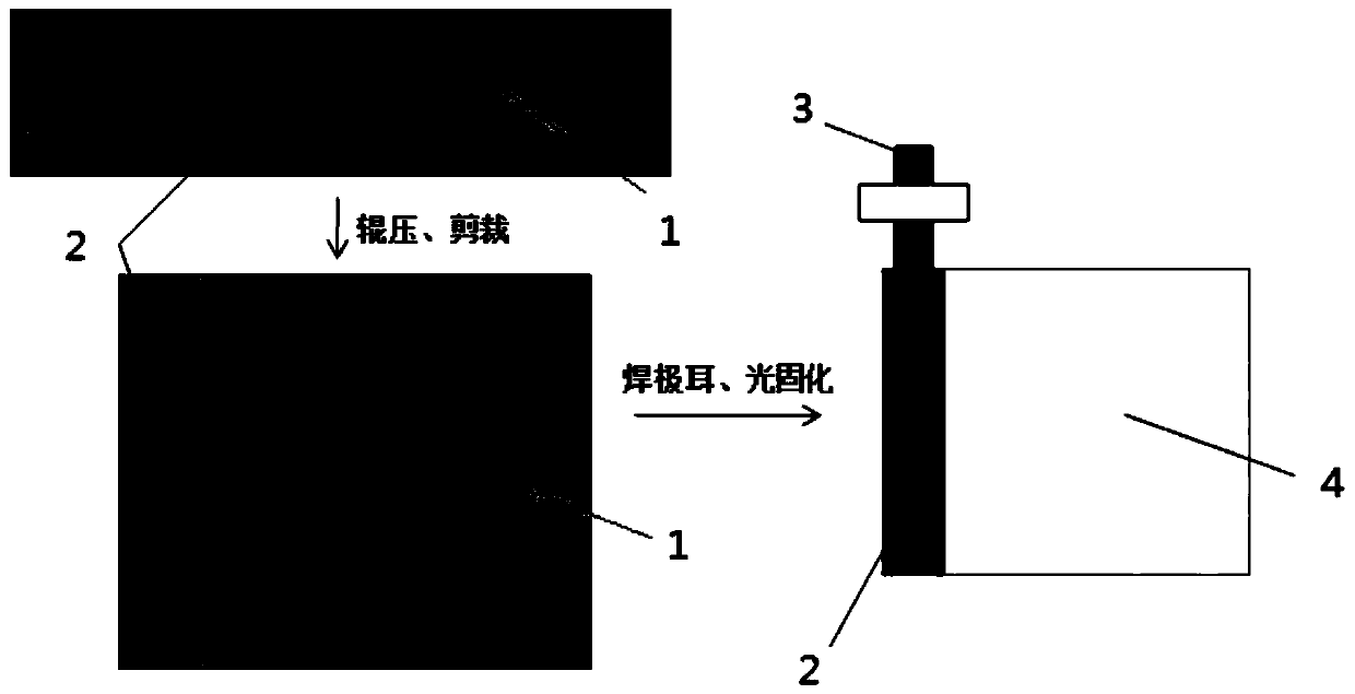 Gel composite lithium metal electrode and preparation method and application thereof