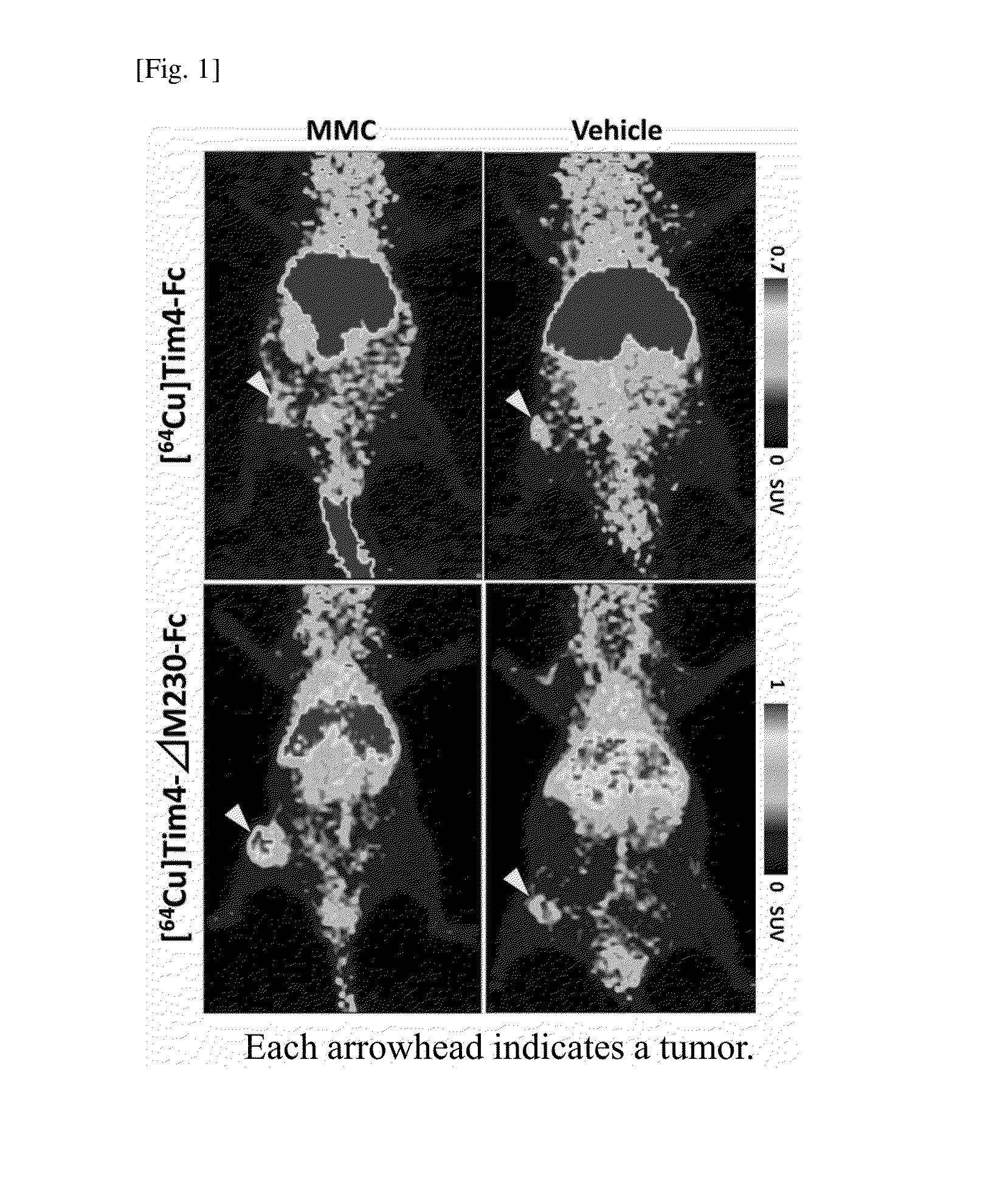 Probe for detecting dead cell